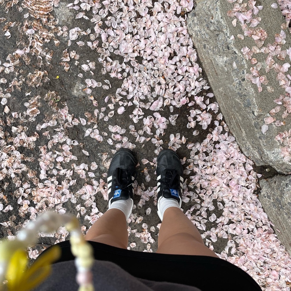 Meet your Posher, Jess